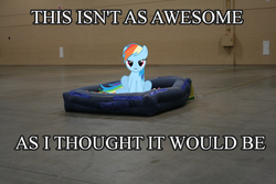 Size: 1280x855 | Tagged: safe, rainbow dash, pegasus, pony, g4, ball pit, dashcon, disappointed, fail, frown, irl, looking at you, photo, ponies in real life, sitting, solo, unamused