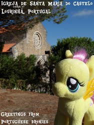 Size: 1368x1824 | Tagged: safe, artist:ricardofs-200, fluttershy, pegasus, pony, g4, irl, outdoors, photo, plushie, ponies around the world, portugal