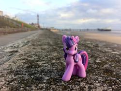 Size: 960x717 | Tagged: safe, twilight sparkle, g4, blackpool, blackpool tower, blind bag, blurry, irl, photo, toy