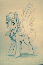 Size: 640x960 | Tagged: safe, artist:probablyfakeblonde, oc, oc only, oc:swiftwing, pegasus, pony, monochrome, solo, traditional art
