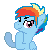Size: 50x50 | Tagged: safe, rainbow dash, g4, animated, clapping, clapping ponies, rainbow blitz, rule 63, solo