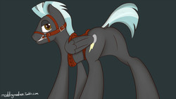 Size: 1280x720 | Tagged: safe, artist:modding madness, thunderlane, pegasus, pony, g4, bit gag, bridle, butt, featureless crotch, gag, male, plot, saddle, solo, stallion