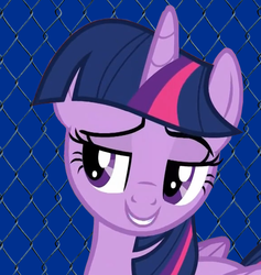 Size: 584x617 | Tagged: safe, twilight sparkle, alicorn, pony, g4, it ain't easy being breezies, bedroom eyes, costanza face, female, george costanza, ishygddt, mare, meme, reaction image, solo, twilight sparkle (alicorn)