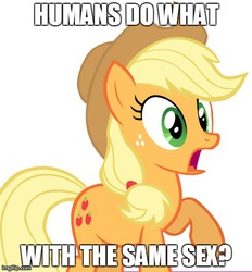 Size: 490x527 | Tagged: safe, applejack, earth pony, pony, g4, applejack portrayed as an overly-stereotypical red neck, bigotjack, conservative, cowboy hat, female, gay marriage, hat, homophobia, humans do what, image macro, mare, meme, old fashioned, out of character, shocked, simple background, solo, text, white background