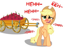 Size: 1024x768 | Tagged: source needed, safe, artist:proponypal, applejack, earth pony, pony, g4, apple, apple cart, cold, female, fetish, mare, nostril flare, nostrils, pre sneeze, raised hoof, red nosed, sick, simple background, sneezing, sneezing fetish, solo, white background, working