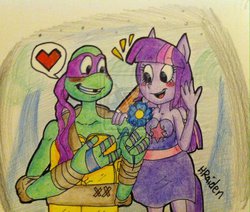 Size: 970x823 | Tagged: dead source, safe, artist:hraiden, twilight sparkle, equestria girls, g4, crossover, crossover shipping, deviantart watermark, donatello, donatwi, obtrusive watermark, teenage mutant ninja turtles, tmnt 2012, watermark