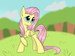 Size: 1024x768 | Tagged: safe, artist:cristalshy, fluttershy, pegasus, pony, g4, female, mare, solo