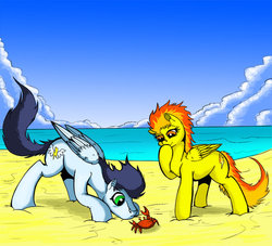 Size: 600x544 | Tagged: safe, artist:exelzior, soarin', spitfire, crab, g4, beach, old cutie mark, this will end in tears