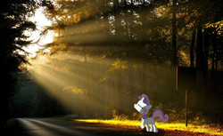 Size: 2013x1228 | Tagged: safe, artist:digitalpheonix, artist:muffinname, sweetie belle, g4, forest, irl, photo, ponies in real life, road, sign, solo, vector