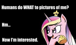 Size: 660x390 | Tagged: safe, idw, princess cadance, g4, deeply intrigued cadance, female, humans do what, image macro, meme, pro-clop, solo