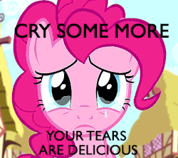 Size: 553x490 | Tagged: safe, edit, edited screencap, screencap, pinkie pie, earth pony, pony, g4, pinkie pride, animated, caption, cry some more, crying, female, mare, reaction image, solo, text, your tears are delicious
