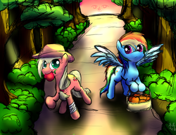 Size: 1322x1022 | Tagged: safe, artist:godofsteak, applejack, rainbow dash, g4, apple, basket, le lenny face