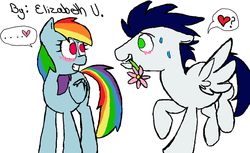 Size: 1024x628 | Tagged: safe, artist:liselis20002002, rainbow dash, soarin', g4, blushing, female, flower, heart, male, nervous, ship:soarindash, shipping, straight