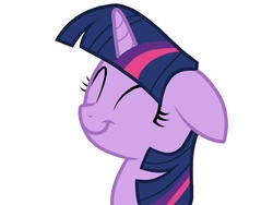 Size: 1024x768 | Tagged: safe, artist:birdivizer, twilight sparkle, g4, female, happy, smiling, solo