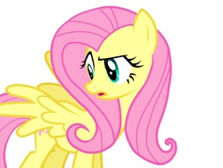 Size: 1024x768 | Tagged: safe, artist:birdivizer, fluttershy, g4, female, solo, wtf