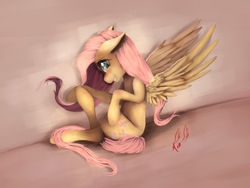 Size: 1200x900 | Tagged: safe, artist:miokomata, fluttershy, g4, blushing, fangs, female, floppy ears, looking at you, pose, sitting, smiling, solo, spread wings