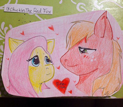 Size: 620x537 | Tagged: safe, artist:chucklestheredfox, big macintosh, fluttershy, earth pony, pony, g4, eye contact, male, ship:fluttermac, shipping, stallion, straight, traditional art