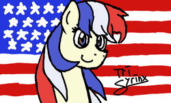 Size: 1024x614 | Tagged: safe, artist:tritoniumx5pony, nation ponies, solo, united states