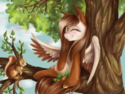 Size: 1600x1200 | Tagged: safe, artist:dearmary, oc, oc only, pegasus, pony, squirrel, squirrel pony, blushing, nuts, solo, tree