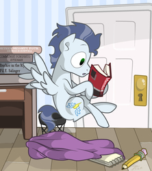 Size: 800x900 | Tagged: safe, artist:trace-101, soarin', pony, g4, 1984, book, communism, crossed legs, fahrenheit 451, male, novel, old cutie mark, reading, solo, the catcher in the rye