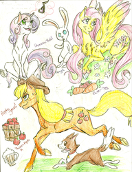 Size: 1698x2213 | Tagged: safe, artist:coraline-176, angel bunny, applejack, fluttershy, sweetie belle, winona, g4, apple, carrot, cider, sketch dump, traditional art