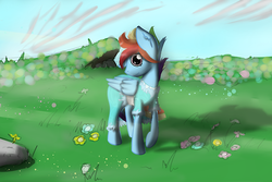 Size: 500x333 | Tagged: safe, artist:marsminer, rainbow dash, g4, commission, rainbow blitz, rule 63, solo