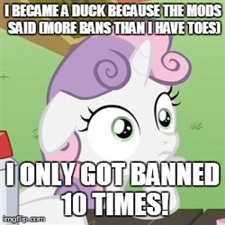 Size: 300x300 | Tagged: safe, sweetie belle, g4, badge drama, banned, exploitable meme, image macro, meme, meta, op is a duck, sudden clarity sweetie belle