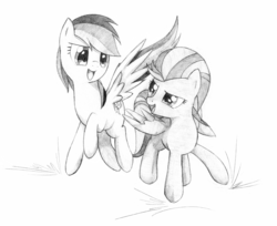 Size: 2513x2049 | Tagged: safe, artist:awengrocks, lightning dust, rainbow dash, g4, high res, monochrome