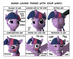 Size: 1600x1300 | Tagged: safe, artist:dan, twilight sparkle, oc, oc:anon, alicorn, pony, 3d, blushing, doing loving things, female, looking at you, mare, meme, petting, source filmmaker, twilight sparkle (alicorn), wingboner