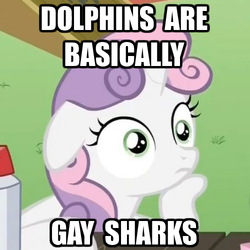 Size: 500x500 | Tagged: safe, sweetie belle, g4, exploitable meme, female, image macro, meme, solo, sudden clarity sweetie belle