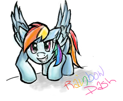 Size: 616x508 | Tagged: safe, artist:pinapplekid, rainbow dash, pegasus, pony, g4, female, mare, simple background, smiling, solo, spread wings, white background, wings