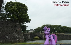 Size: 2076x1312 | Tagged: safe, artist:caliaponia, twilight sparkle, g4, imperial palace, irl, japan, photo, ponies around the world, toy