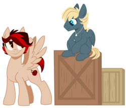 Size: 1000x855 | Tagged: safe, artist:dbkit, oc, oc only, oc:cherry bomber, oc:hightide, pegasus, pony, box, brother and sister, duo, jewelry, necklace, offspring, parent:dumbbell, parent:rainbow dash, parents:dumbdash, siblings, simple background, transparent background