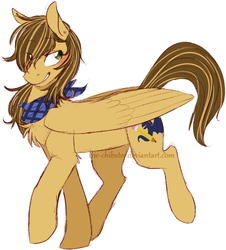 Size: 661x731 | Tagged: safe, artist:the-chibster, oc, oc only, oc:swift sketch, pegasus, pony, blushing, solo
