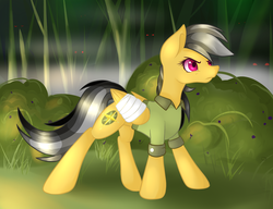 Size: 1024x785 | Tagged: safe, artist:novabytes, daring do, g4, female, solo