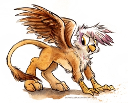 Size: 730x589 | Tagged: dead source, safe, artist:kenket, artist:spainfischer, gilda, griffon, g4, chest fluff, concave belly, cute, female, fluffy, simple background, solo, thin, traditional art
