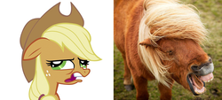 Size: 794x360 | Tagged: safe, applejack, pony, shetland pony, g4, comparison, face, faic, floppy ears, horse yawn, horses doing horse things, real pony, silly, silly pony, who's a silly pony, yawn