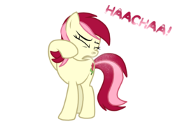 Size: 2048x1536 | Tagged: safe, artist:proponypal, roseluck, earth pony, pony, g4, female, fetish, mucus, nostrils, show accurate, simple background, sneezing, sneezing fetish, snot, solo, spit, spray, transparent background