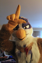 Size: 683x1024 | Tagged: safe, artist:neouka, artist:spainfischer, gilda, griffon, human, g4, 2014, clothes, cosplay, costume, element of loyalty, everfree northwest, everfree northwest 2014, fursuit, irl, irl human, loser, photo, solo, sydneyroo(coser)