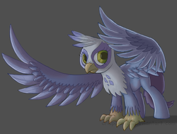 Size: 3958x3000 | Tagged: safe, artist:crispokefan, oc, oc only, classical hippogriff, griffon, hippogriff, high res, solo