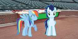 Size: 1024x522 | Tagged: safe, artist:mmnicholas, rainbow dash, soarin', g4, chicago cubs, female, irl, male, photo, ponies in real life, ship:soarindash, shipping, straight, wrigley field