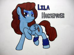 Size: 1024x768 | Tagged: safe, artist:patridam, oc, oc only, oc:lila horsepower, pony, 80s, blue, earring, horsepower, lab, leg warmers, ponified, ponysona, solo