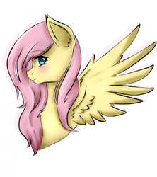 Size: 444x500 | Tagged: safe, artist:skybluewing, fluttershy, g4, female, simple background, solo