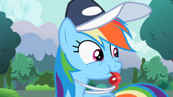 Size: 1024x576 | Tagged: safe, screencap, rainbow dash, g4, may the best pet win, blowing, cap, coach rainbow dash, female, hat, puffy cheeks, rainblow dash, solo, whistle