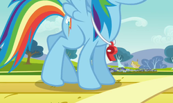 Size: 650x389 | Tagged: safe, screencap, rainbow dash, g4, hurricane fluttershy, coach rainbow dash, cracking joints, female, head out of frame, solo, stretching, whistle, whistle necklace