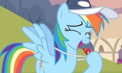 Size: 640x384 | Tagged: safe, screencap, rainbow dash, pegasus, pony, g4, hurricane fluttershy, blowing, cap, coach, coach rainbow dash, coaching cap, coaching whistle, cropped, cute, dashabetes, eyes closed, female, hat, hoof hold, mare, open mouth, rainblow dash, rainbow dashs coaching whistle, smiling, solo, spread wings, whistle, whistle necklace, wings