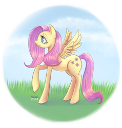 Size: 900x945 | Tagged: safe, artist:avenk, fluttershy, pegasus, pony, g4, cloud, female, grass, mare, profile, raised hoof, simple background, sky, solo, transparent background