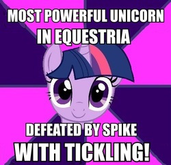 Size: 500x479 | Tagged: safe, twilight sparkle, alicorn, pony, g4, female, image macro, mare, meme, solo, tickling, twilight sparkle (alicorn)