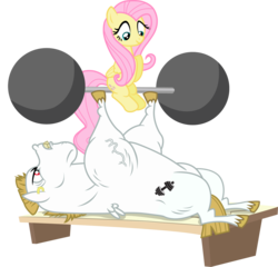 Size: 2029x1944 | Tagged: safe, artist:davidsfire, bulk biceps, fluttershy, pegasus, pony, equestria games (episode), g4, duo, duo male and female, female, male, mare, simple background, stallion, transparent background, vector, weight lifting