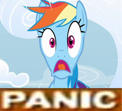 Size: 500x455 | Tagged: safe, rainbow dash, g4, expand dong, exploitable meme, female, meme, panic, solo, why.jpg